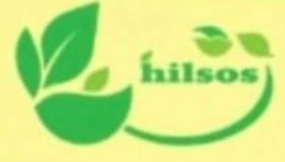 HILSOS BUSINESS SERVICES
